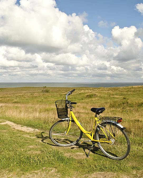 Gelbes Fahrrad an der Nordseeküste